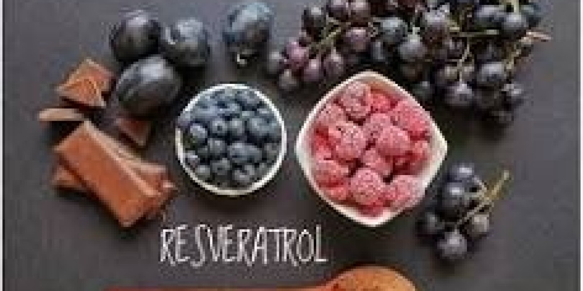 Sustainability and Responsible Event Planning Transforming the MICE Market