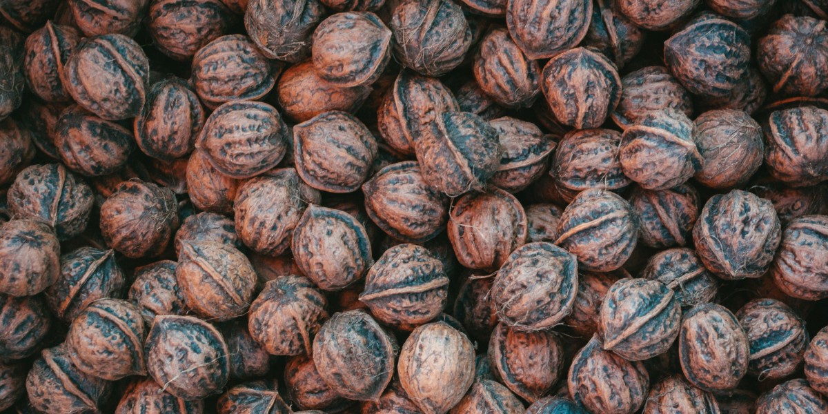 China Tree Nuts Market: Exploring Opportunities in Nut Processing