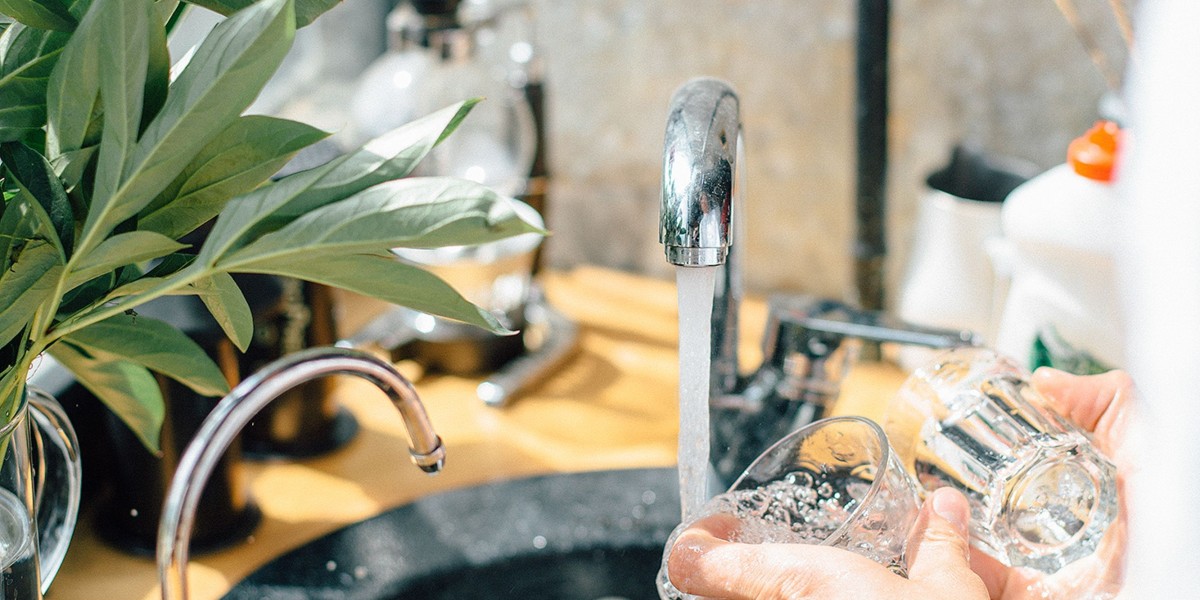 Water Ionizers Market: How Innovation Is Shaping Better Water Solutions