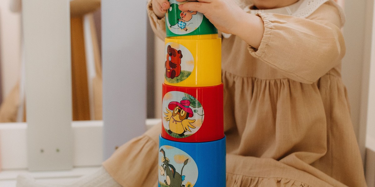 Brazil Baby Toys Market Trends Encouraging Sustainable and Creative Play