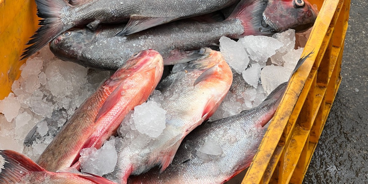 Europe Seafood Market Opportunities in Premium Products and Responsible Fishing